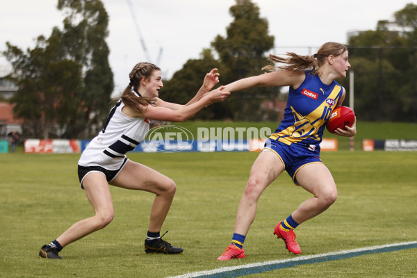 Coates Talent League Girls Rd 6 - Northern Knights v Western Jets - A-1268513