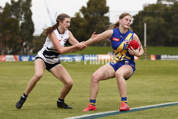 Coates Talent League Girls Rd 6 - Northern Knights v Western Jets - A-1269976