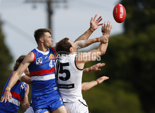 VFL Rd 5 - Footscray Bulldogs v Southport Sharks - A-1269991