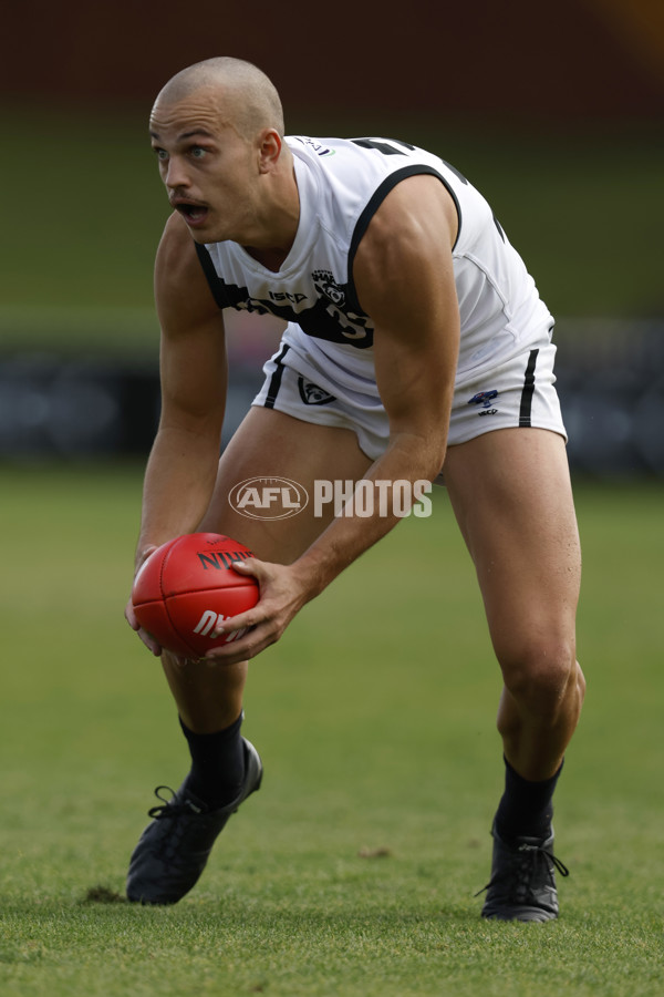 VFL Rd 5 - Footscray Bulldogs v Southport Sharks - A-1270000