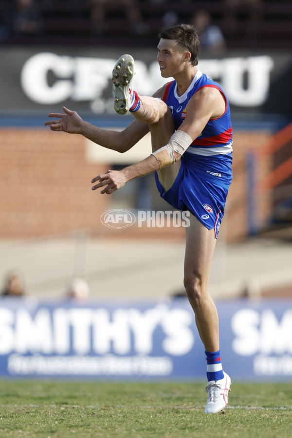 VFL Rd 5 - Footscray Bulldogs v Southport Sharks - A-1270010