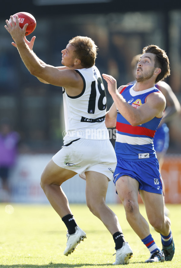 VFL Rd 5 - Footscray Bulldogs v Southport Sharks - A-1271852