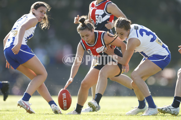 VFLW Rd 5 - Darebin Falcons v North Melbourne - A-1273158