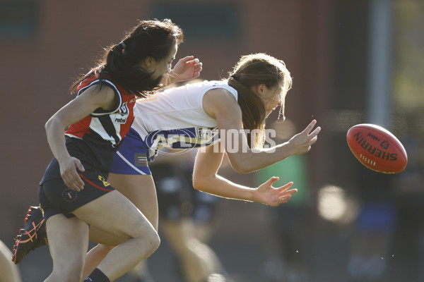 VFLW Rd 5 - Darebin Falcons v North Melbourne - A-1275178