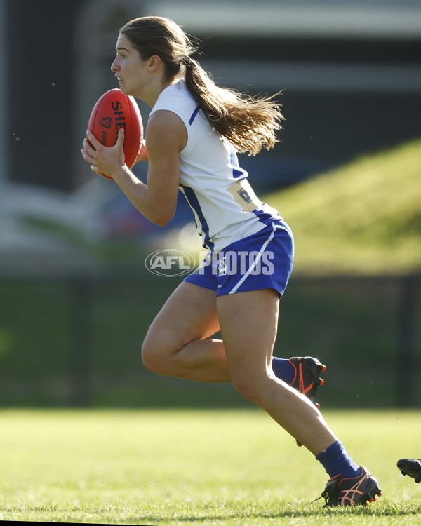 VFLW Rd 5 - Darebin Falcons v North Melbourne - A-1275630