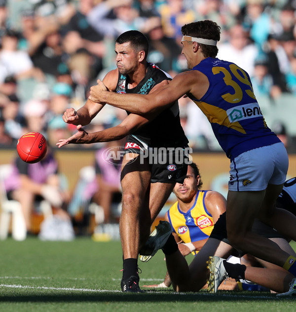 AFL Rd 6 - Port Adelaide v West Coast - A-1281646