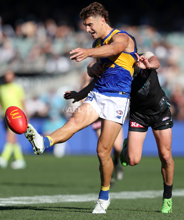 AFL Rd 6 - Port Adelaide v West Coast - A-1281667