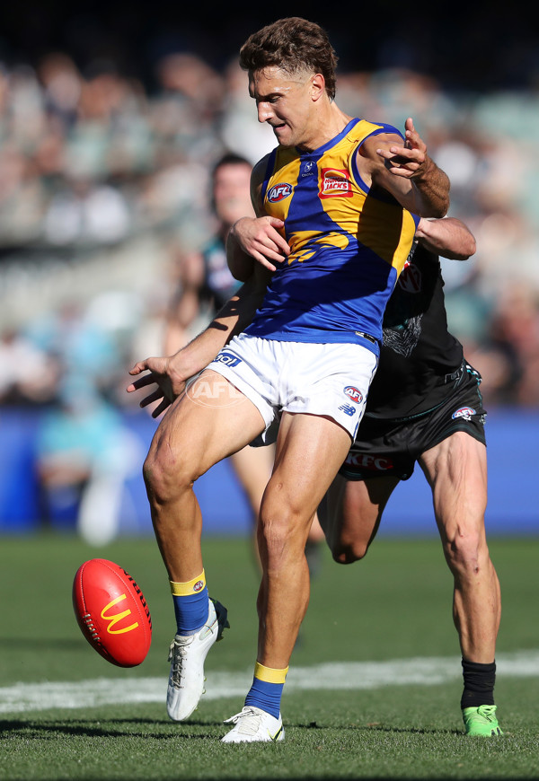 AFL Rd 6 - Port Adelaide v West Coast - A-1281688