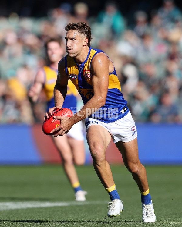 AFL Rd 6 - Port Adelaide v West Coast - A-1281856