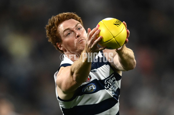 AFL Rd 6 - Geelong v Sydney - A-1287450