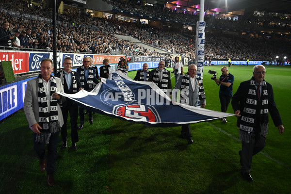 AFL Rd 6 - Geelong v Sydney - A-1288086