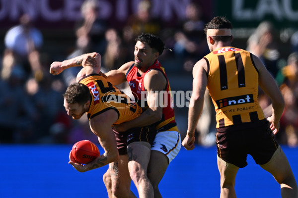 AFL Rd 6 - Hawthorn v Adelaide - A-1288146