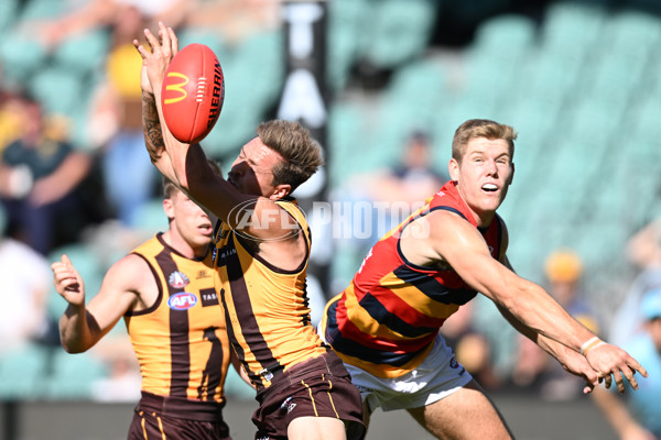 AFL Rd 6 - Hawthorn v Adelaide - A-1288151