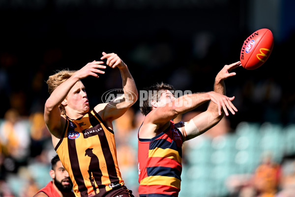 AFL Rd 6 - Hawthorn v Adelaide - A-1288153