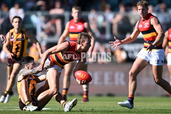 AFL Rd 6 - Hawthorn v Adelaide - A-1290700