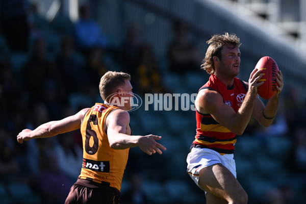 AFL Rd 6 - Hawthorn v Adelaide - A-1290706