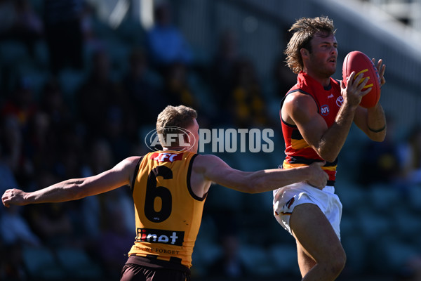 AFL Rd 6 - Hawthorn v Adelaide - A-1293009