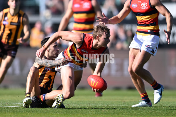 AFL Rd 6 - Hawthorn v Adelaide - A-1293011