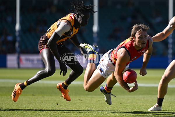 AFL Rd 6 - Hawthorn v Adelaide - A-1293018