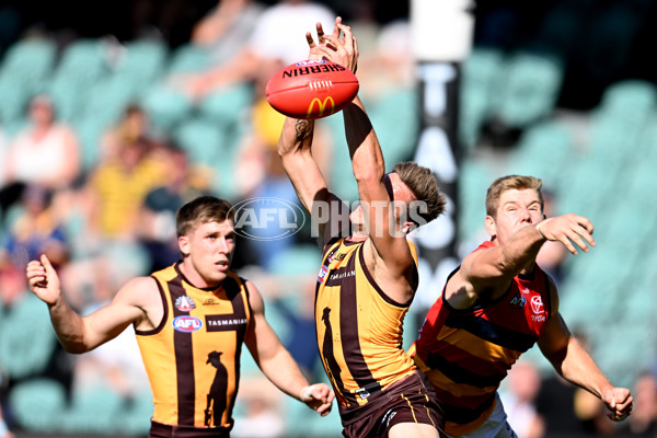 AFL Rd 6 - Hawthorn v Adelaide - A-1293019