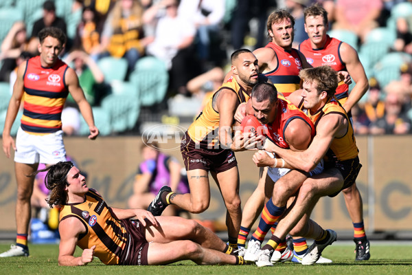 AFL Rd 6 - Hawthorn v Adelaide - A-1293034