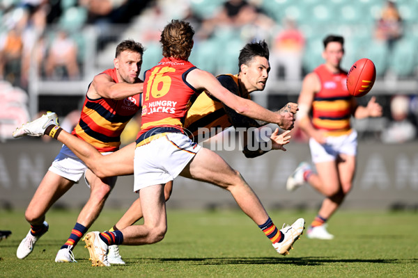 AFL Rd 6 - Hawthorn v Adelaide - A-1293038