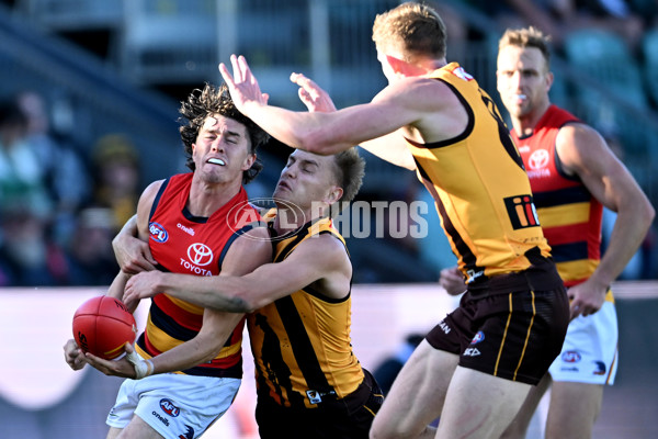 AFL Rd 6 - Hawthorn v Adelaide - A-1295653