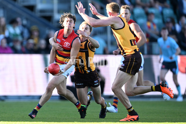 AFL Rd 6 - Hawthorn v Adelaide - A-1295660