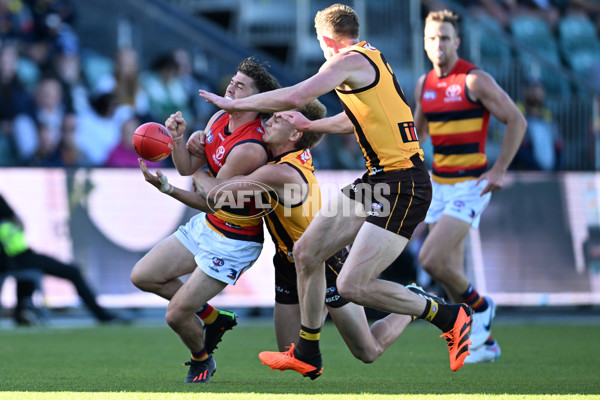 AFL Rd 6 - Hawthorn v Adelaide - A-1296343