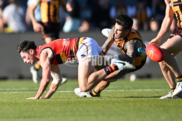 AFL Rd 6 - Hawthorn v Adelaide - A-1296366