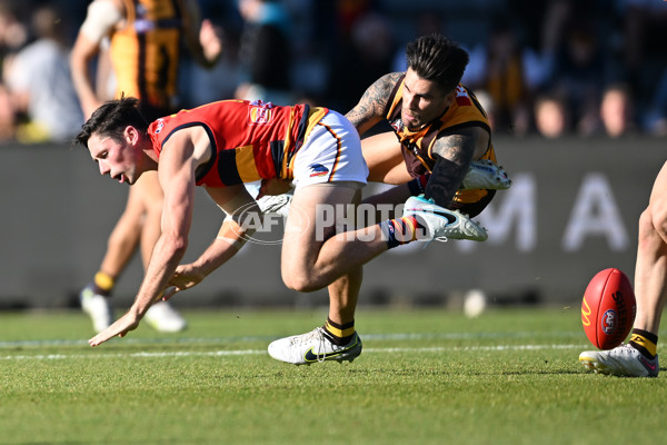 AFL Rd 6 - Hawthorn v Adelaide - A-1296367