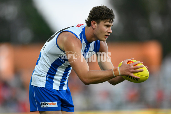 AFL Rd 6 - Gold Coast v North Melbourne - A-1299352