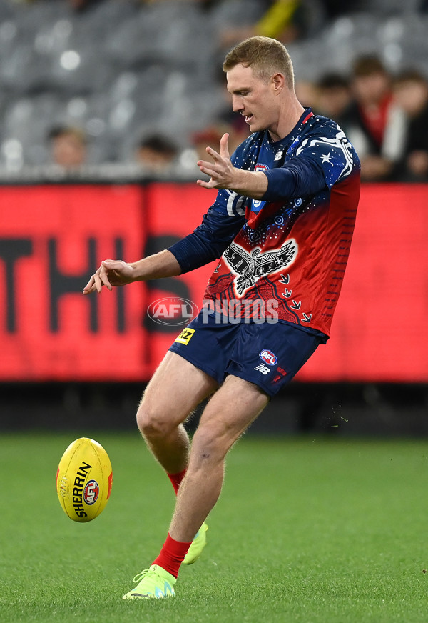 AFL Rd 6 - Melbourne v Richmond - A-1305517