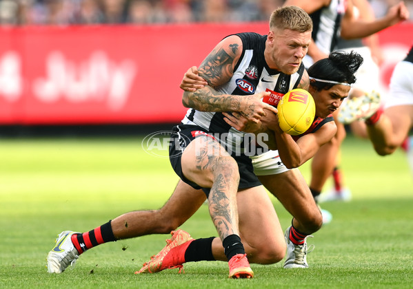 AFL Rd 6 - Collingwood v Essendon - A-1313584