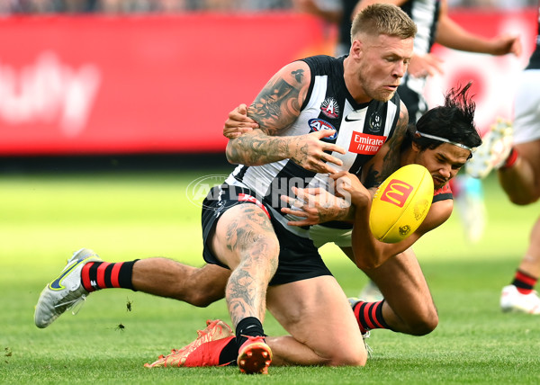 AFL Rd 6 - Collingwood v Essendon - A-1315135