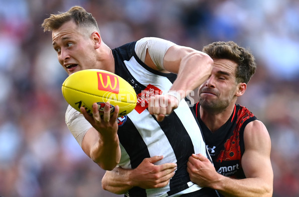 AFL Rd 6 - Collingwood v Essendon - A-1315157