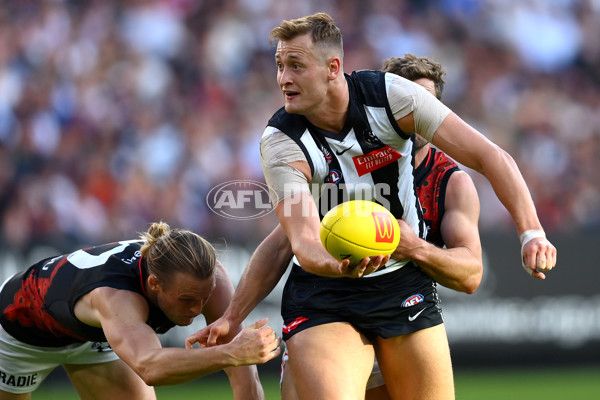 AFL Rd 6 - Collingwood v Essendon - A-1315159