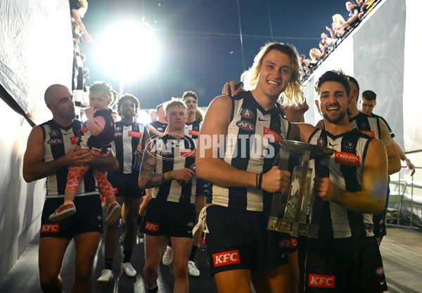 AFL Rd 6 - Collingwood v Essendon - A-1318326