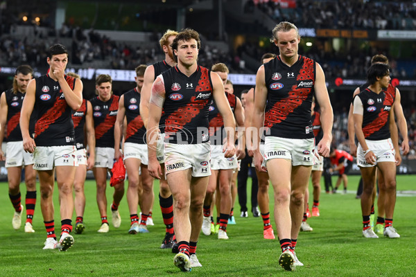 AFL Rd 6 - Collingwood v Essendon - A-1318337