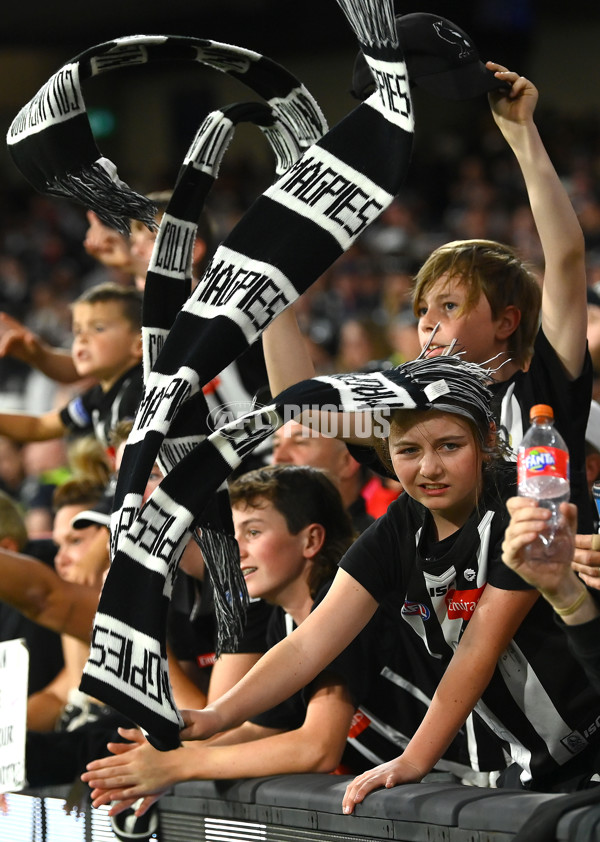 AFL Rd 6 - Collingwood v Essendon - A-1320579