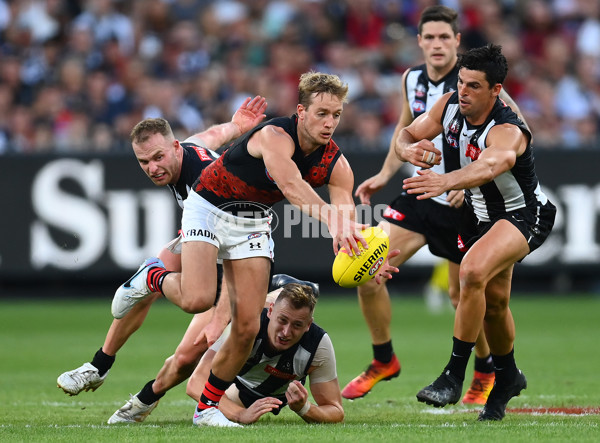 AFL Rd 6 - Collingwood v Essendon - A-1320593