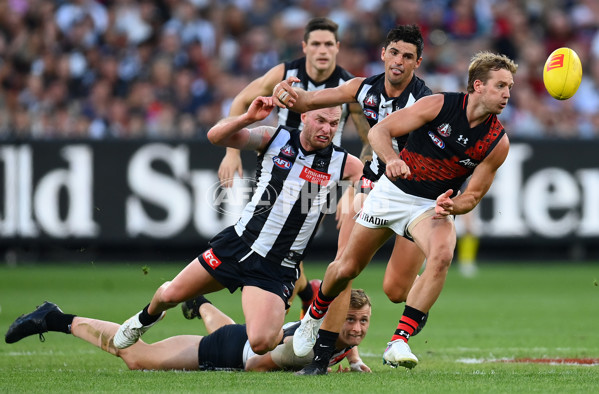 AFL Rd 6 - Collingwood v Essendon - A-1321086