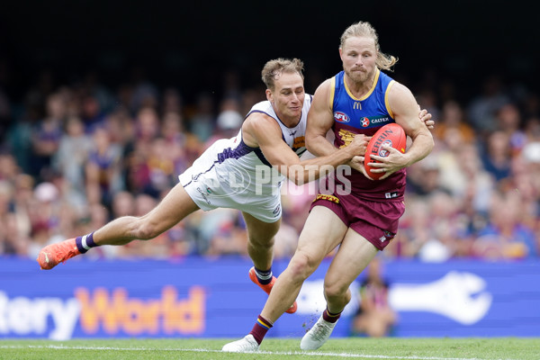 AFL Rd 6 - Gold Coast v North Melbourne - A-1337064