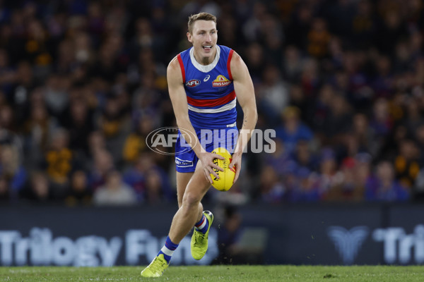 AFL Rd 7 - Western Bulldogs v Hawthorn - A-1347918