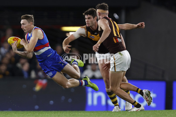 AFL Rd 7 - Western Bulldogs v Hawthorn - A-1347925