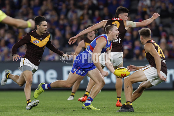 AFL Rd 7 - Western Bulldogs v Hawthorn - A-1354303