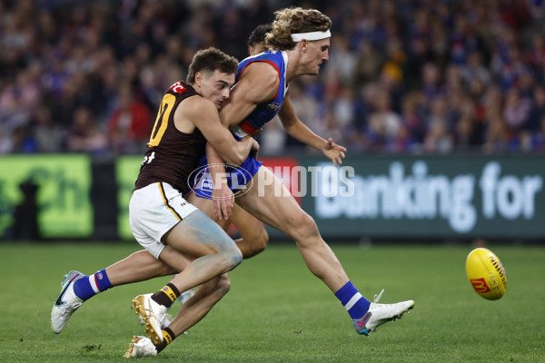 AFL Rd 7 - Western Bulldogs v Hawthorn - A-1356743