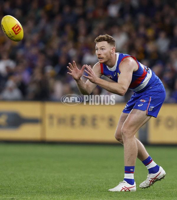 AFL Rd 7 - Western Bulldogs v Hawthorn - A-1356797