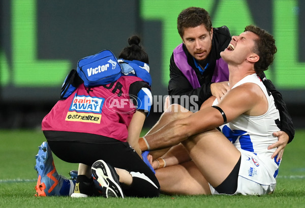 AFL Rd 7 - Melbourne v North Melbourne - A-1356830