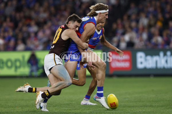 AFL Rd 7 - Western Bulldogs v Hawthorn - A-1357051